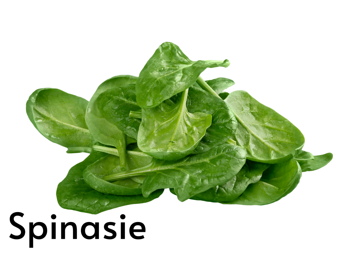 Vegetable flashcards for kids in English and Afrikaans