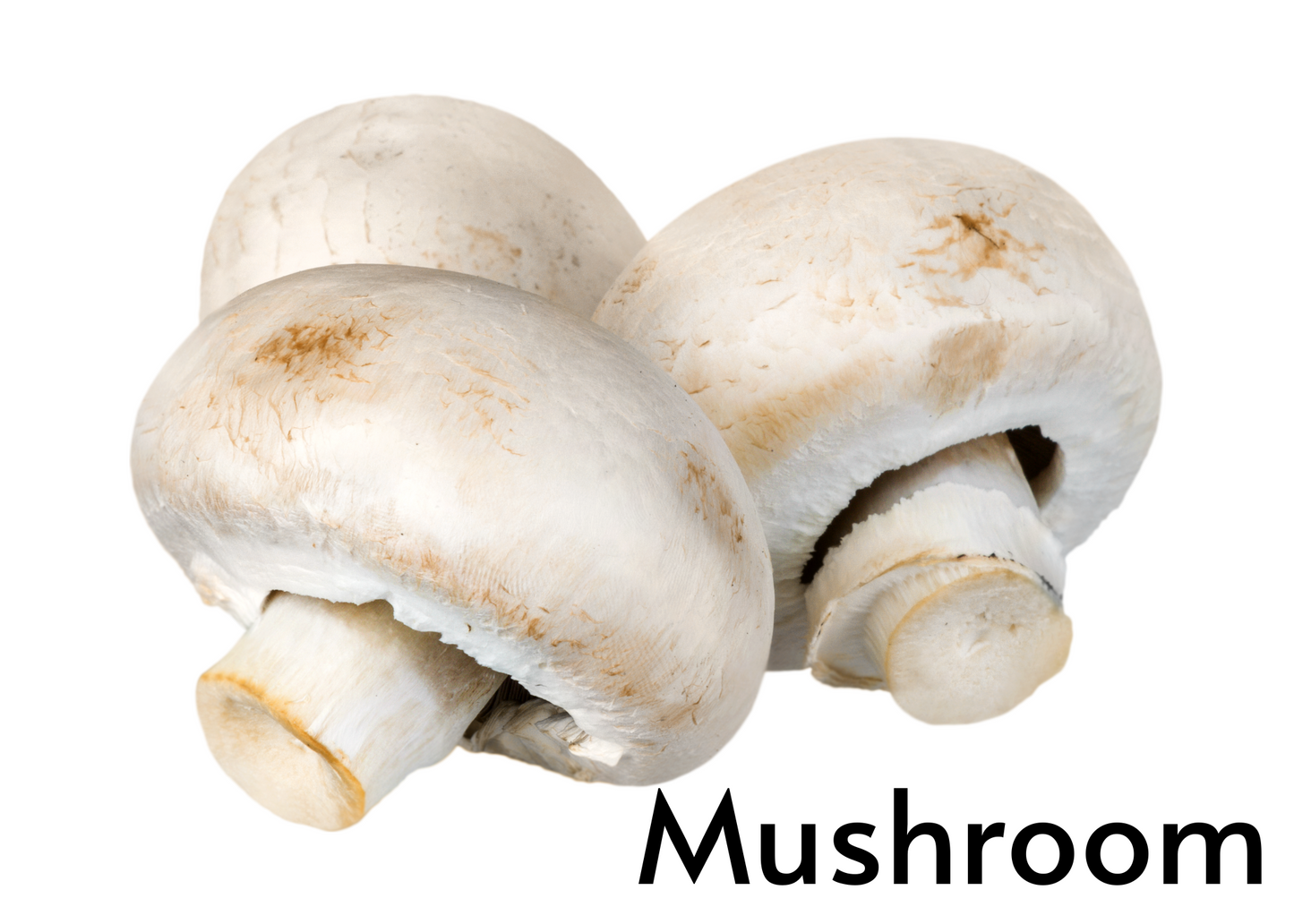 Vegetable flashcards for kids in English and Afrikaans