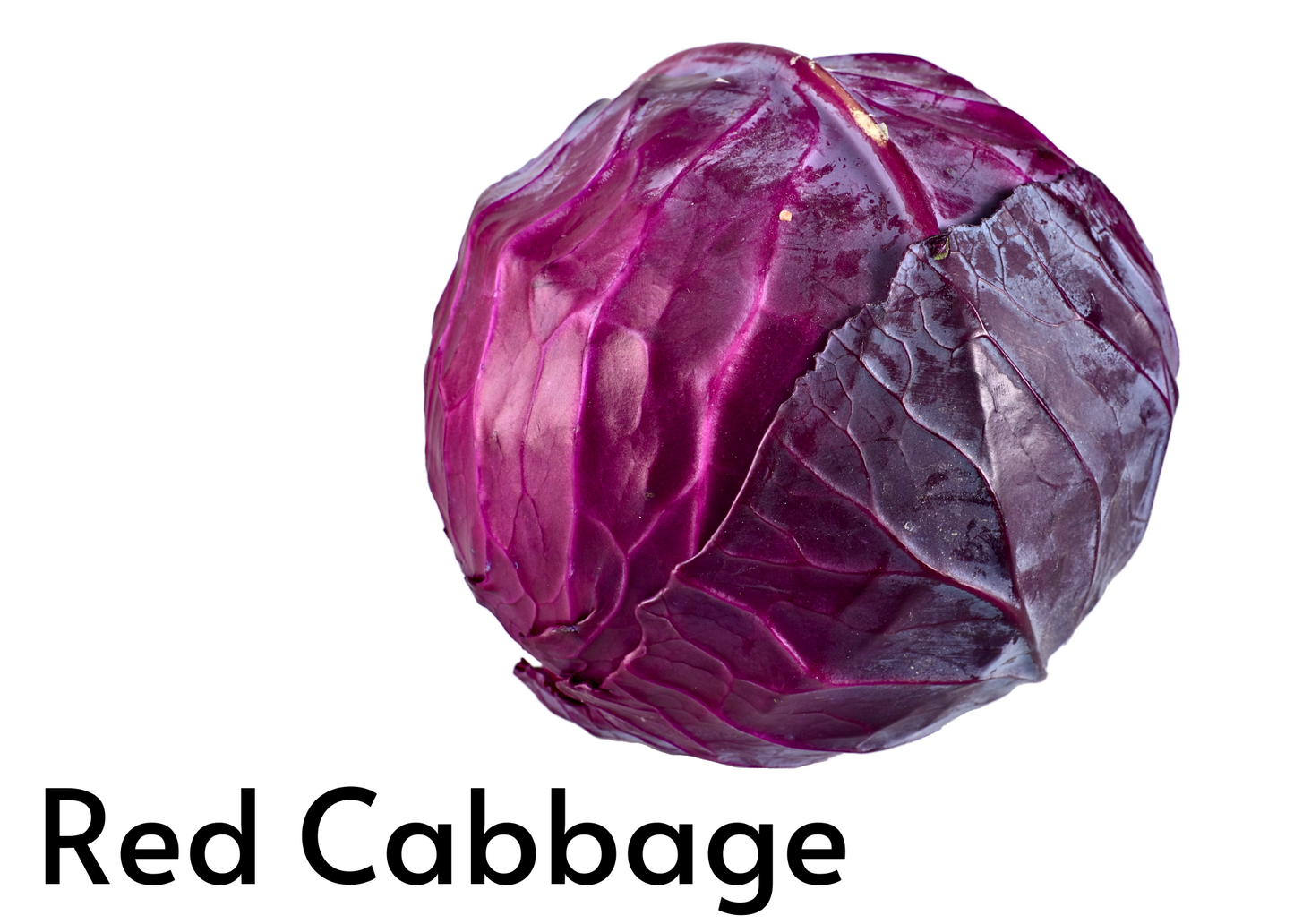 Vegetable flashcards for kids in English and Afrikaans
