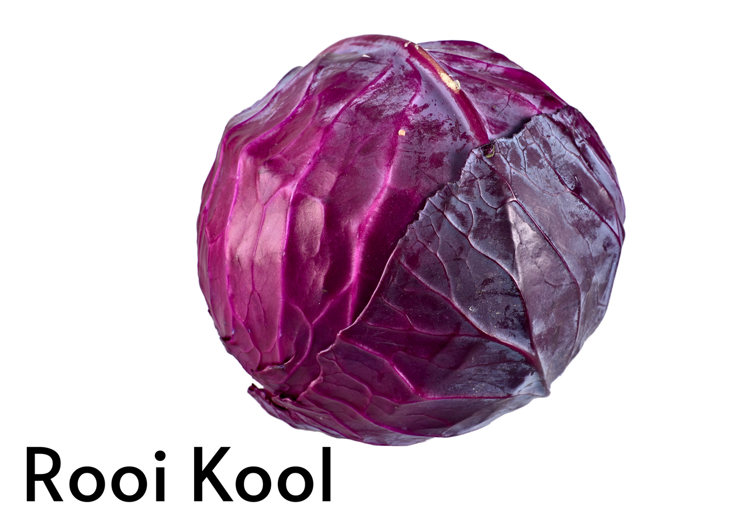 Vegetable flashcards for kids in English and Afrikaans