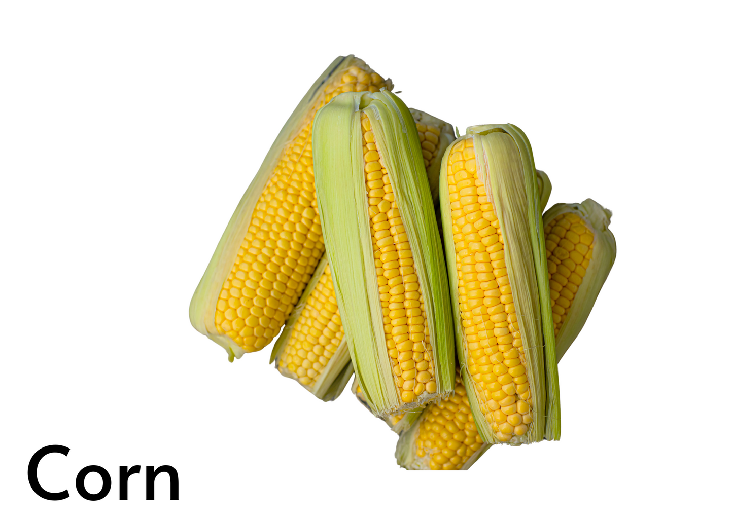 Vegetable flashcards for kids in English and Afrikaans