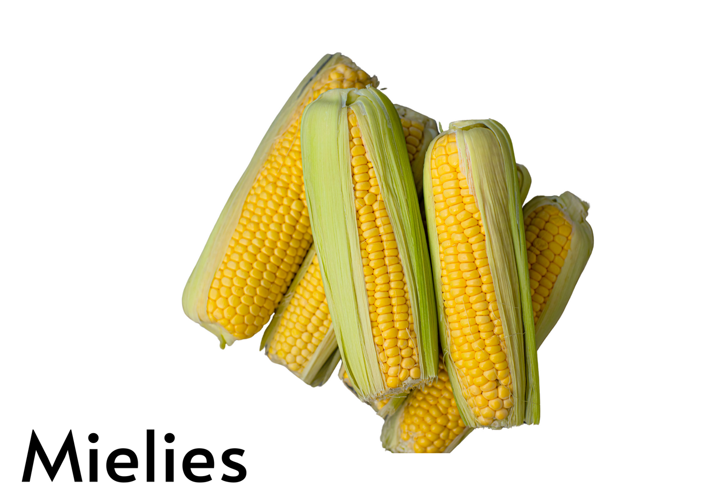 Vegetable flashcards for kids in English and Afrikaans