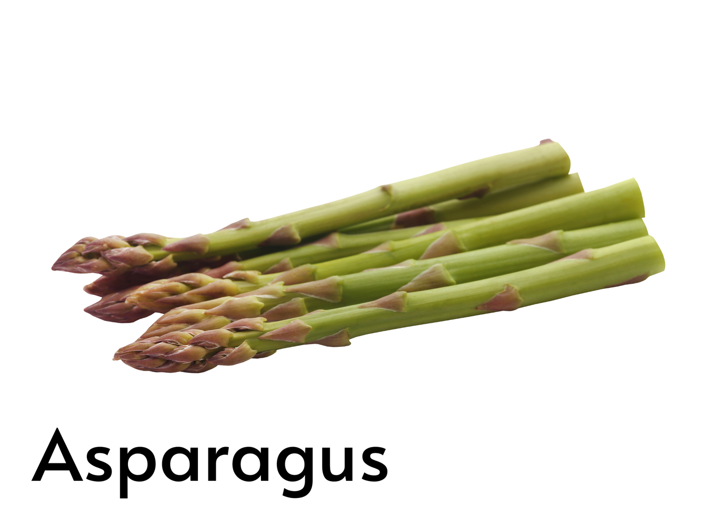 Vegetable flashcards for kids in English and Afrikaans