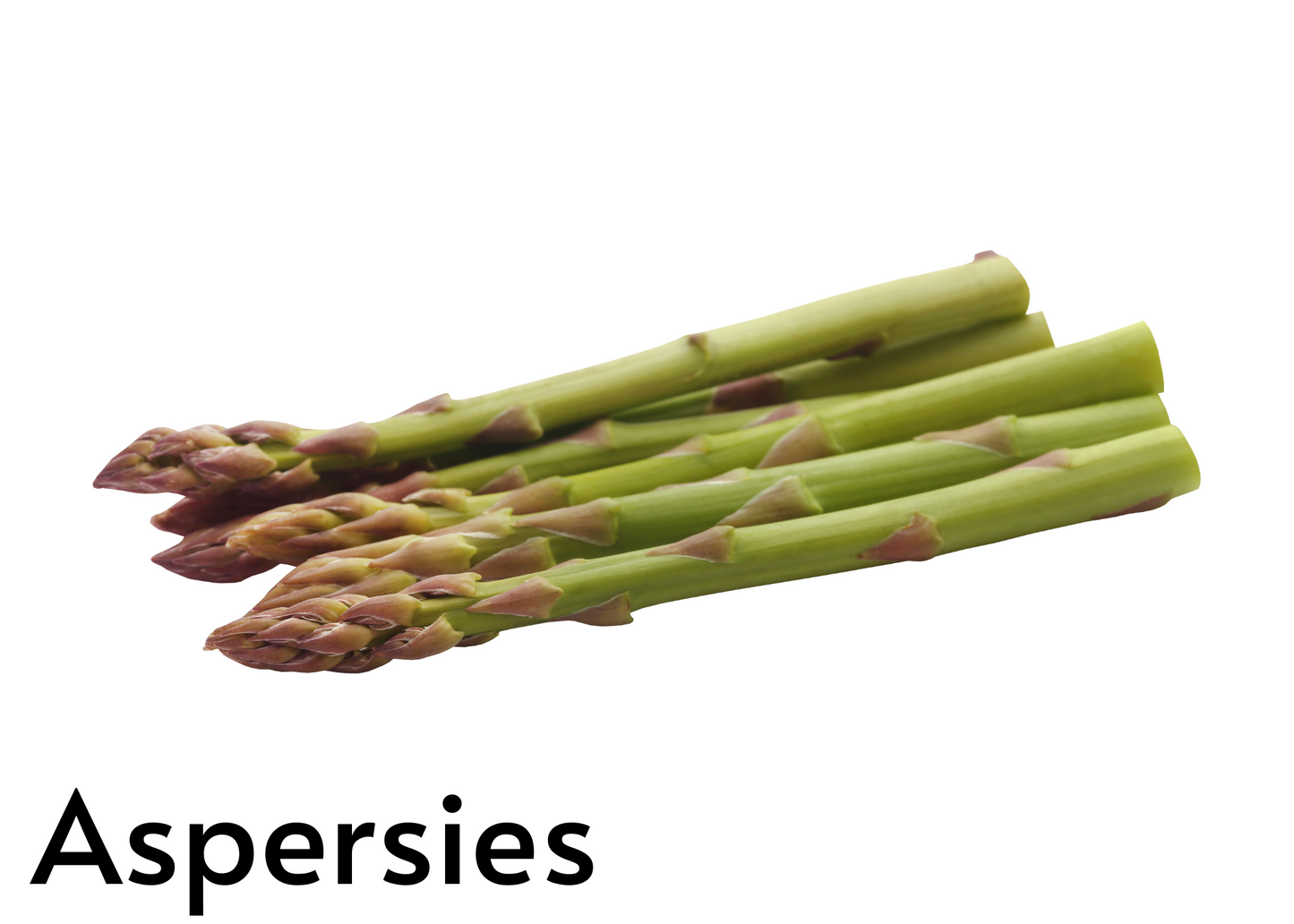 Vegetable flashcards for kids in English and Afrikaans