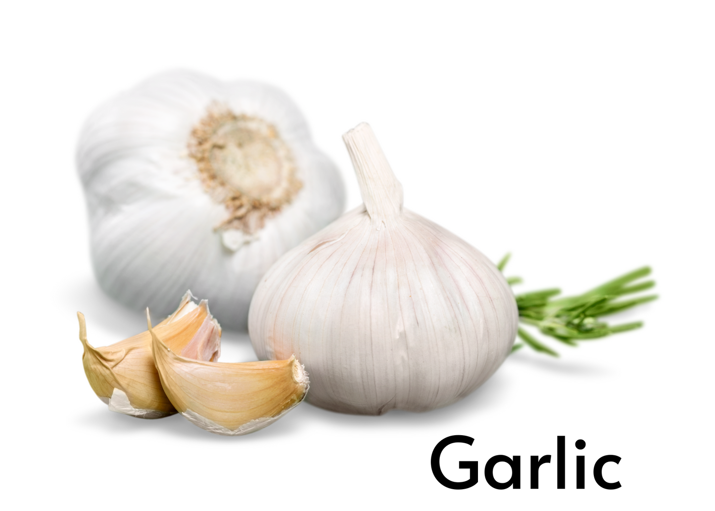 Vegetable flashcards for kids in English and Afrikaans