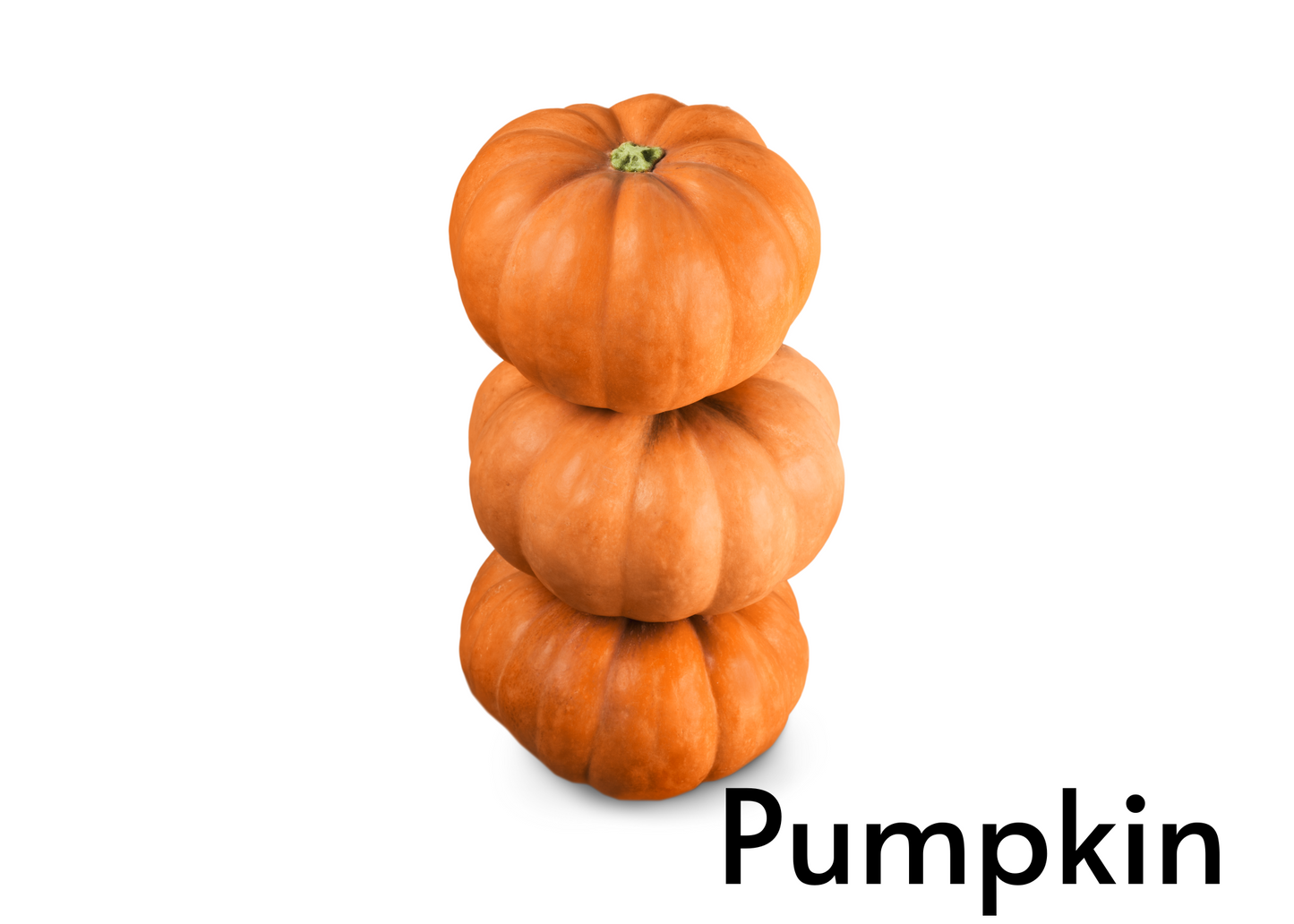 Vegetable flashcards for kids in English and Afrikaans
