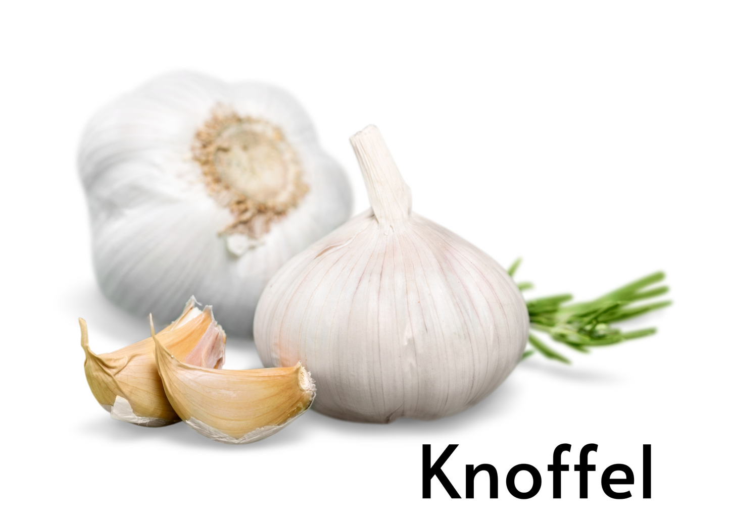 Vegetable flashcards for kids in English and Afrikaans