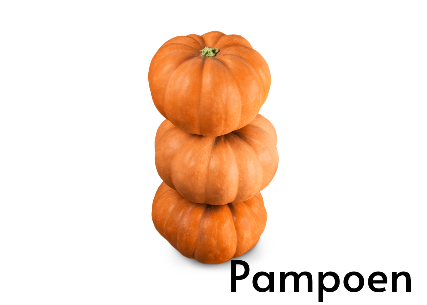 Vegetable flashcards for kids in English and Afrikaans