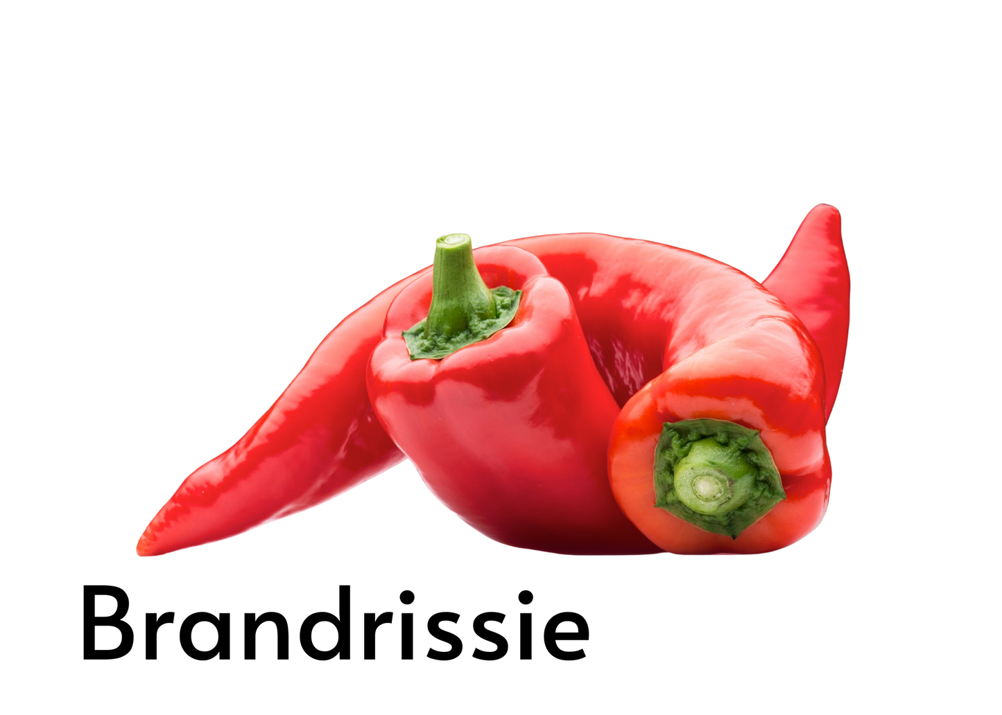 Vegetable flashcards for kids in English and Afrikaans