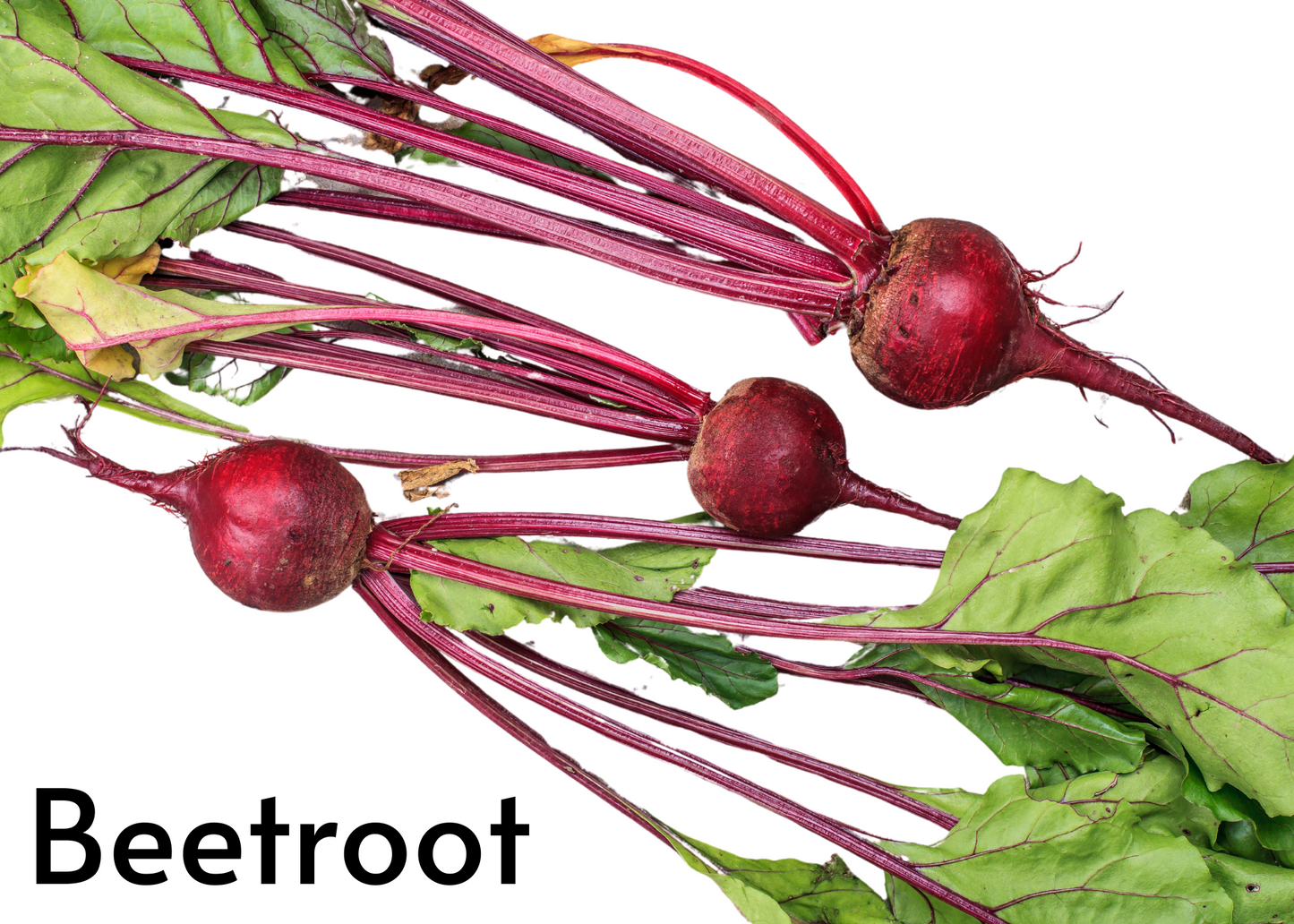 Vegetable flashcards for kids in English and Afrikaans