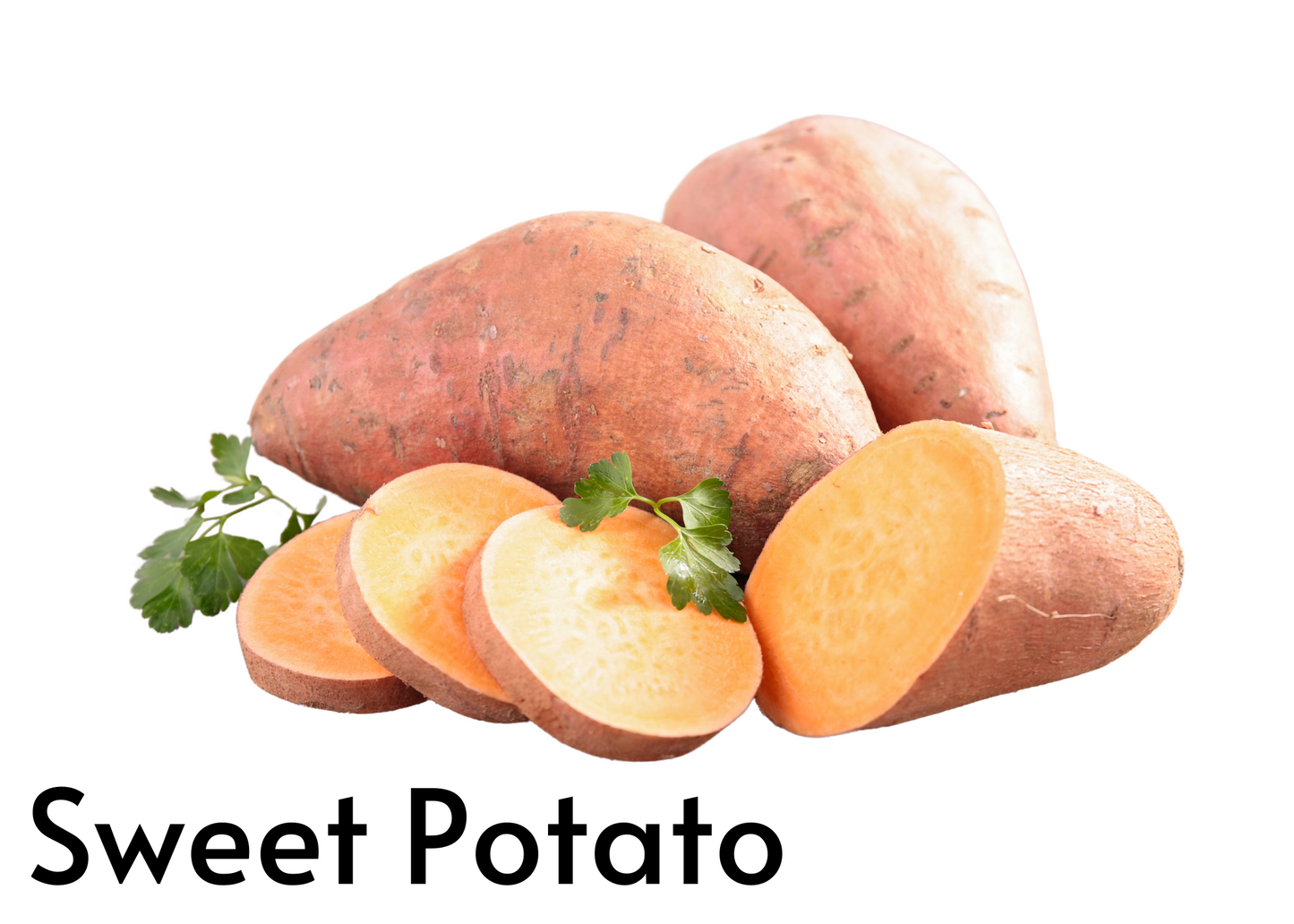 Vegetable flashcards for kids in English and Afrikaans