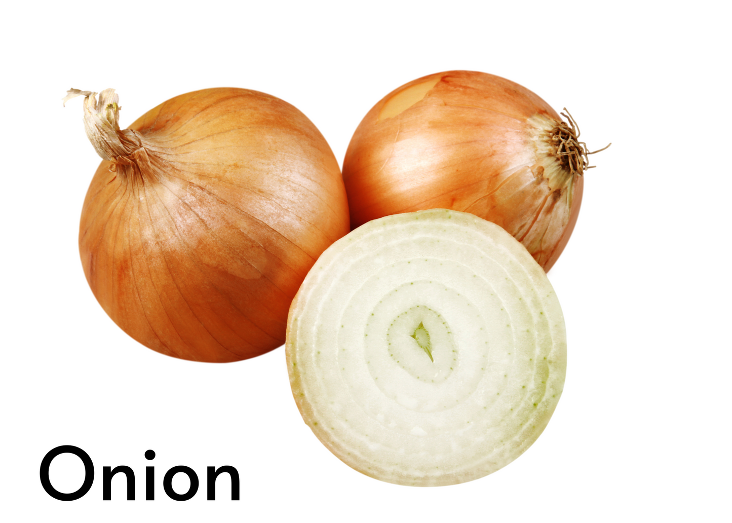 Vegetable flashcards for kids in English and Afrikaans