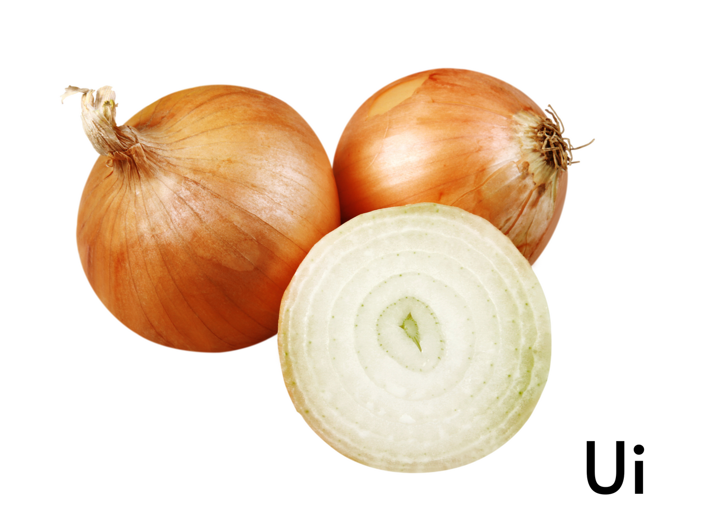 Vegetable flashcards for kids in English and Afrikaans