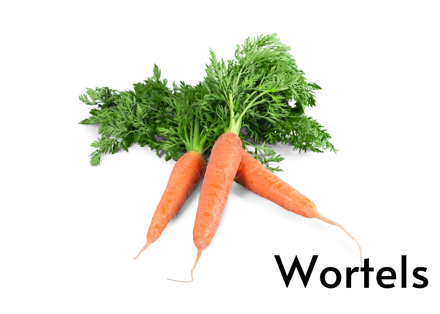 Vegetable flashcards for kids in English and Afrikaans