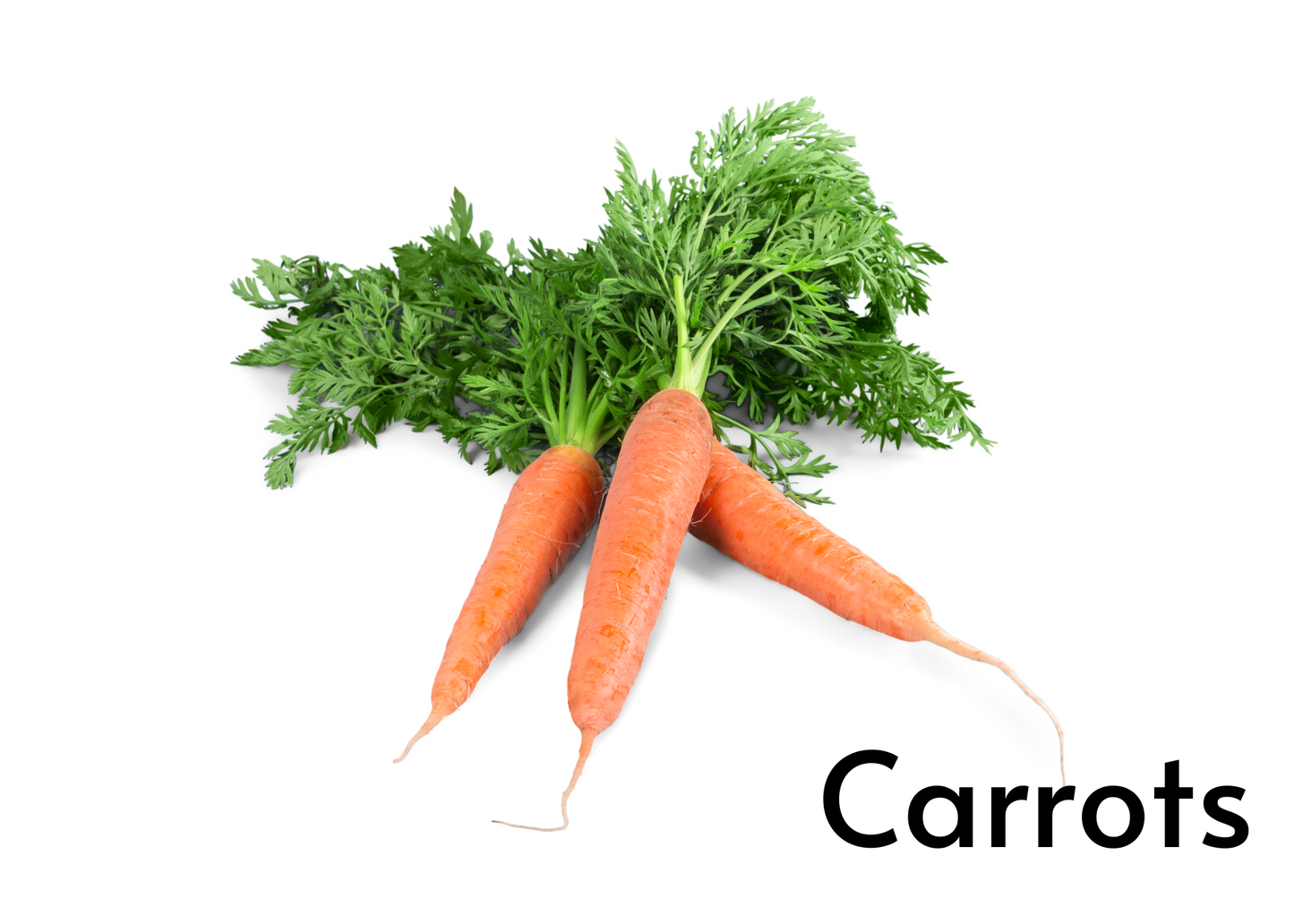 Vegetable flashcards for kids in English and Afrikaans