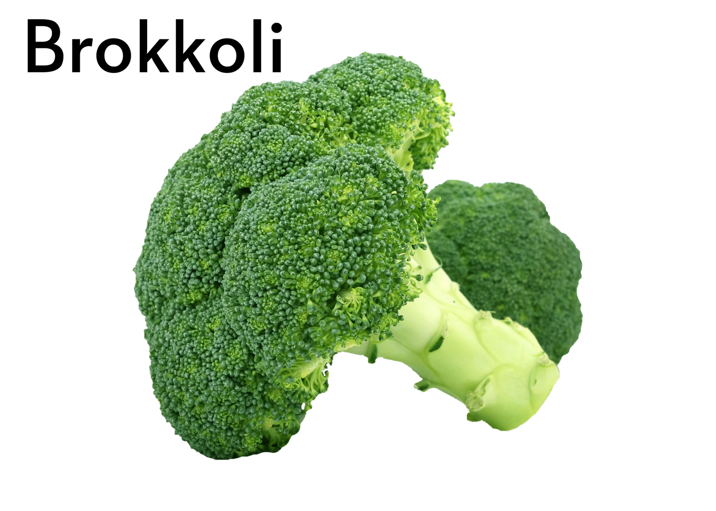 Vegetable flashcards for kids in English and Afrikaans
