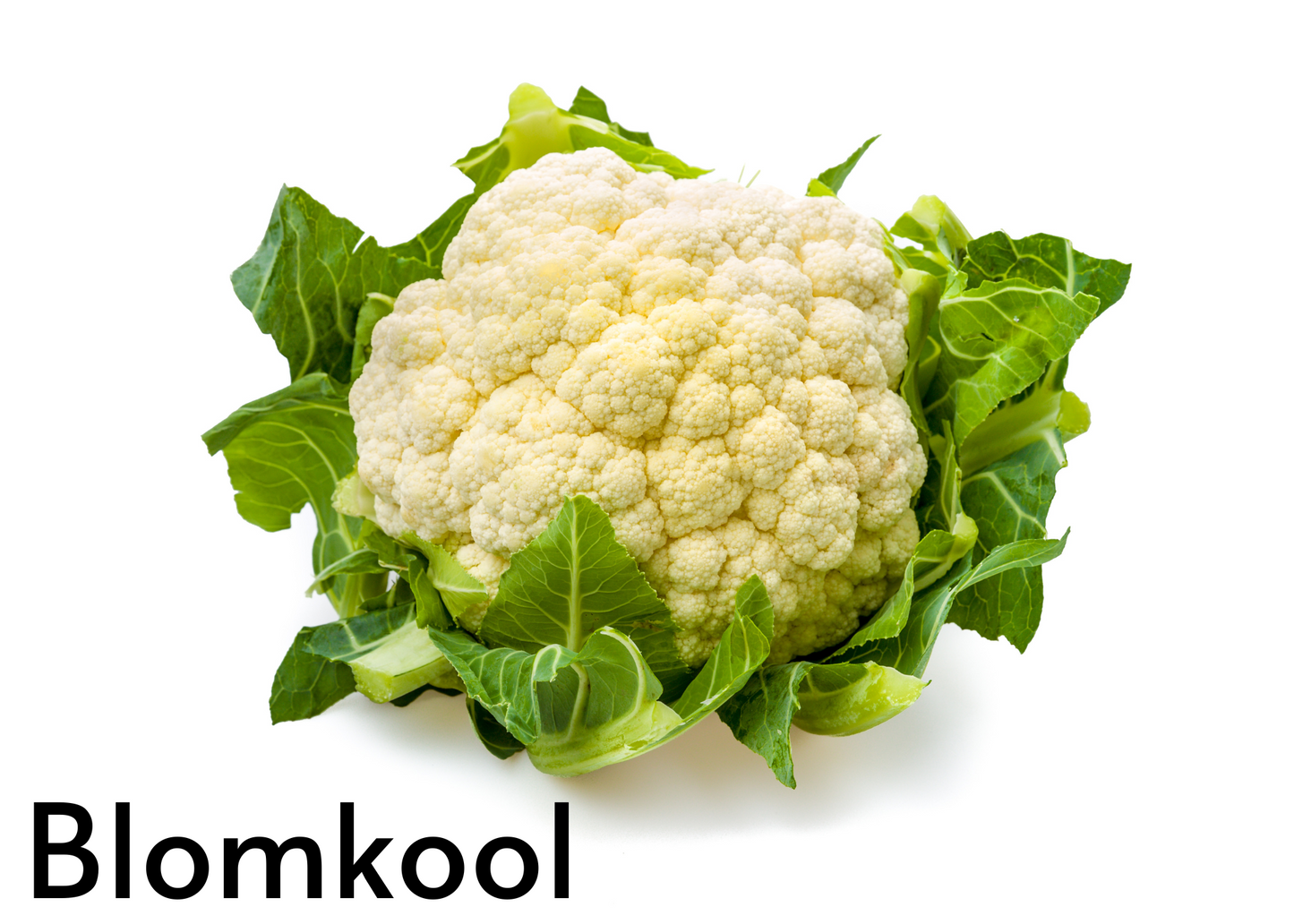 Vegetable flashcards for kids in English and Afrikaans