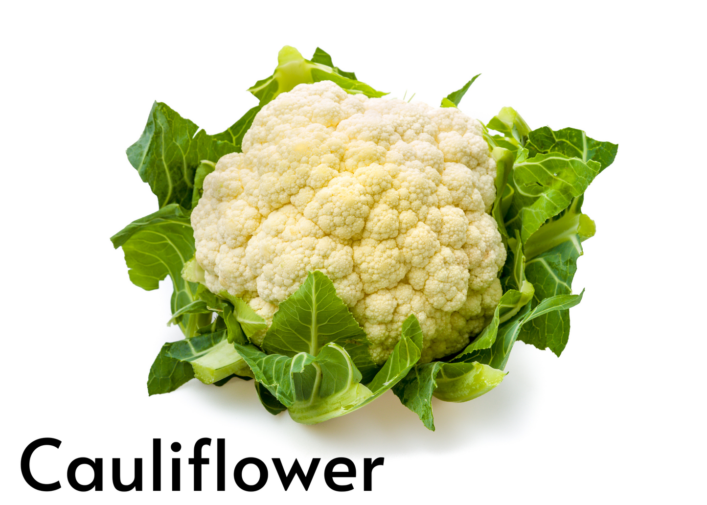 Vegetable flashcards for kids in English and Afrikaans