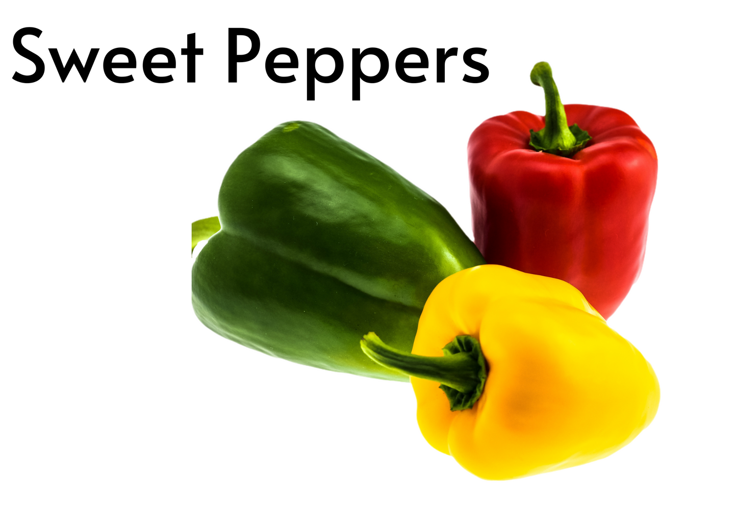 Vegetable flashcards for kids in English and Afrikaans