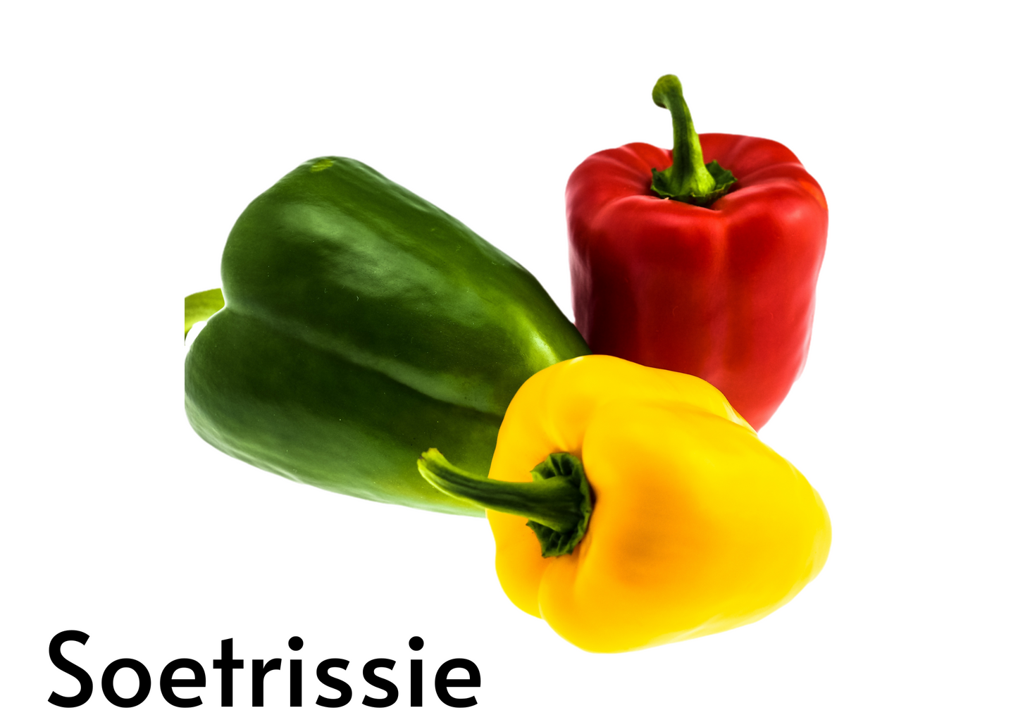 Vegetable flashcards for kids in English and Afrikaans