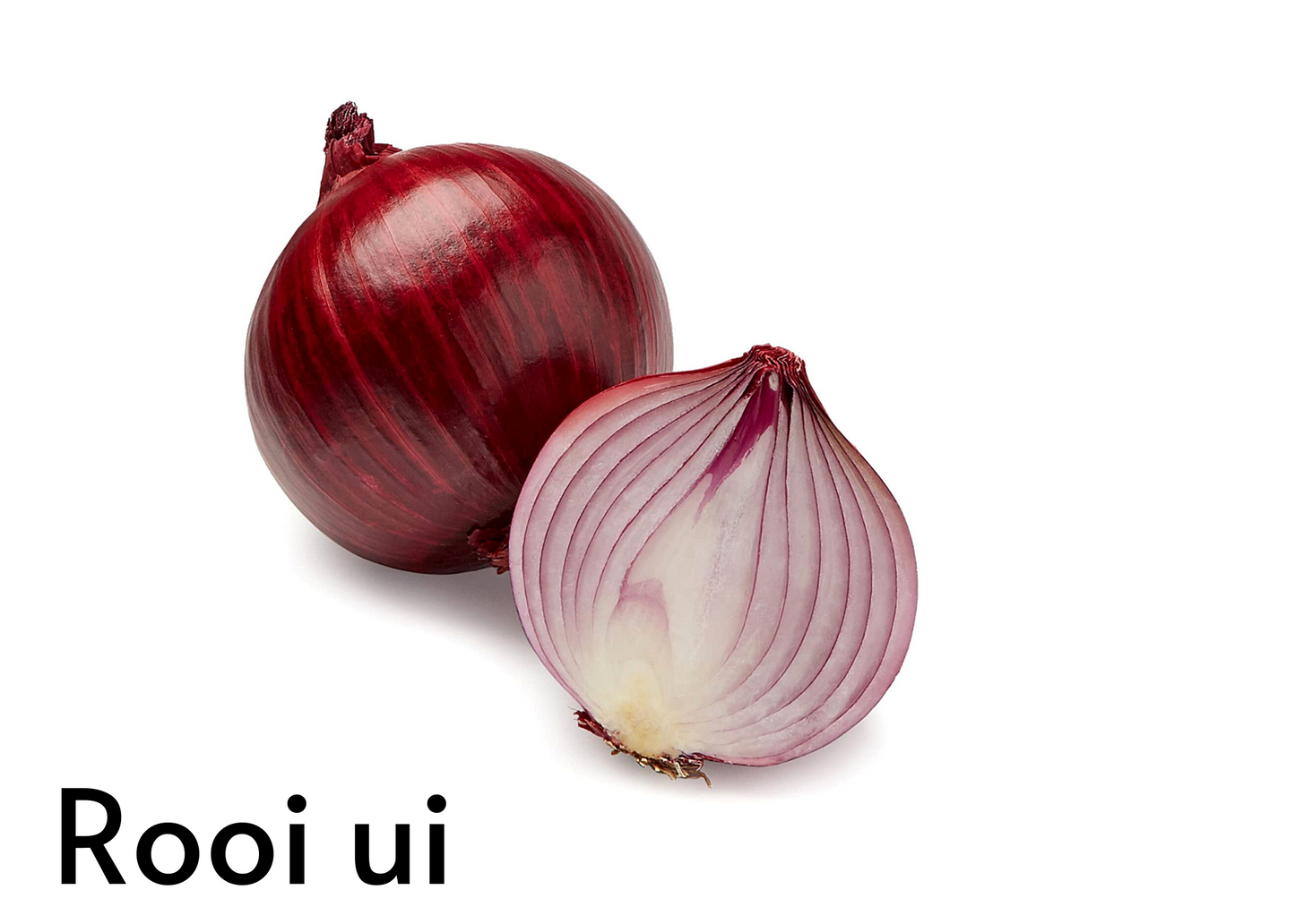 Vegetable flashcards for kids in English and Afrikaans
