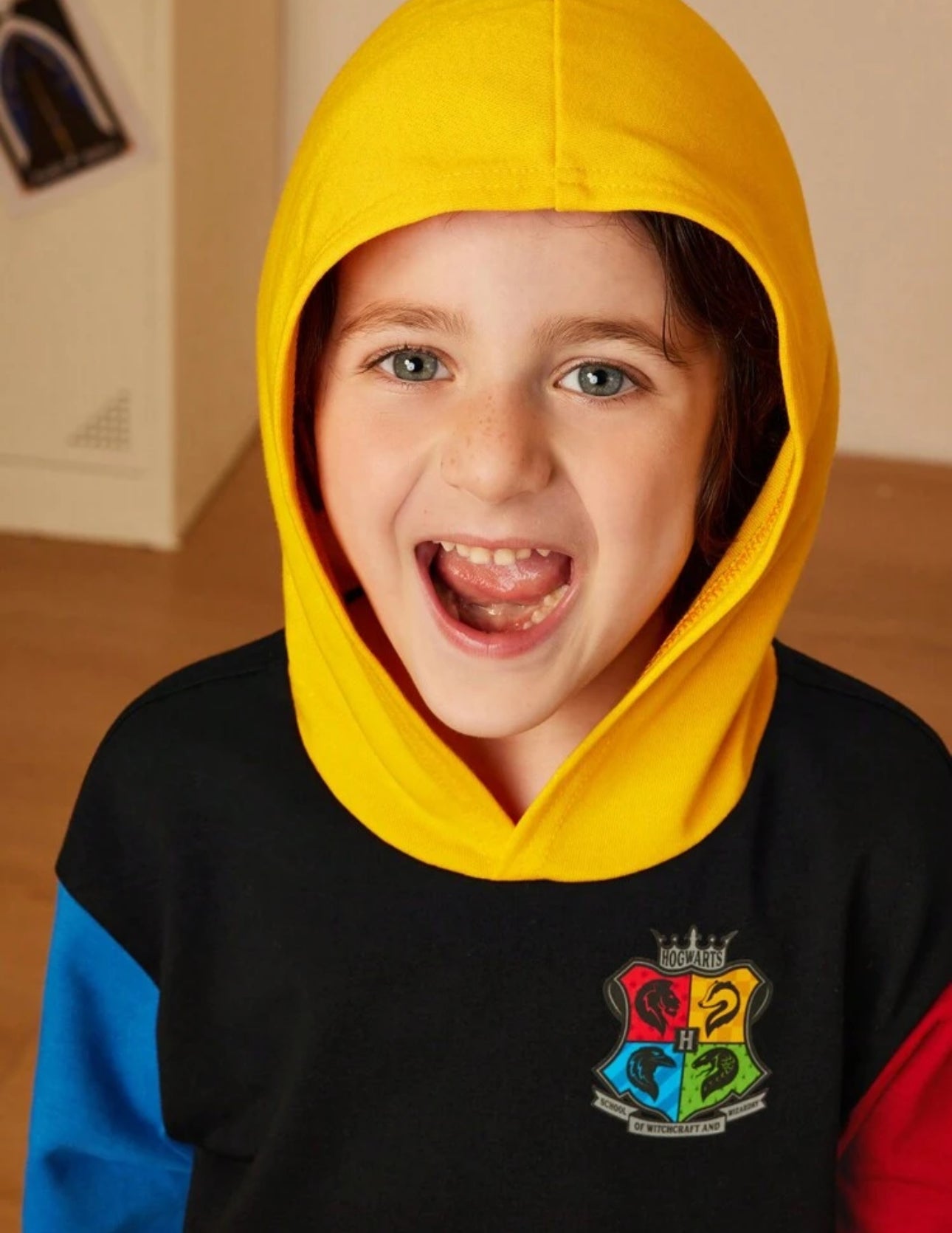 HARRY POTTER Young Boy Hogwarts Badge Print Casual Color Block Hooded Black Sweatshirt