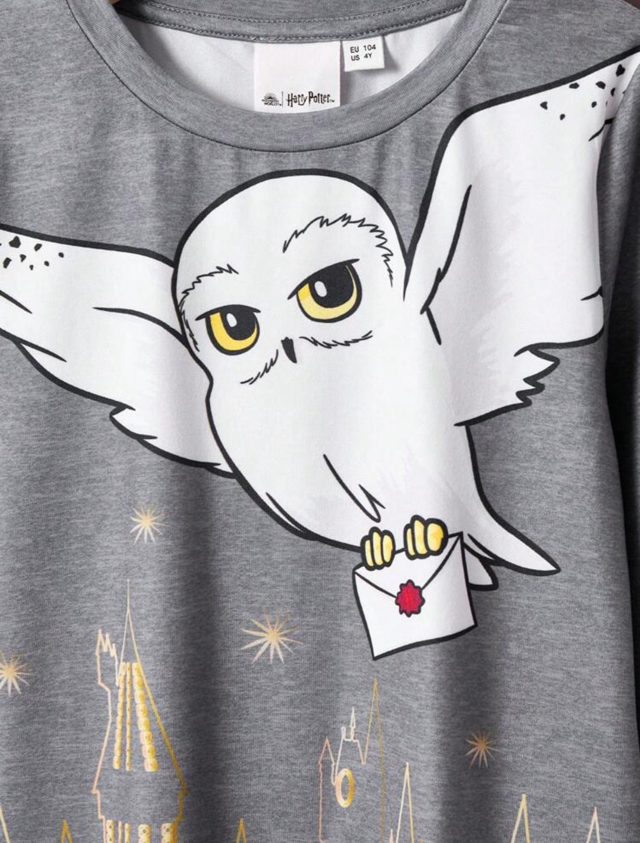 HARRY POTTER 2pcs/Set Cartoon Castle Owl Letter Print Grey Casual Long Sleeve T-Shirt And Pants Home Pajamas Outfit