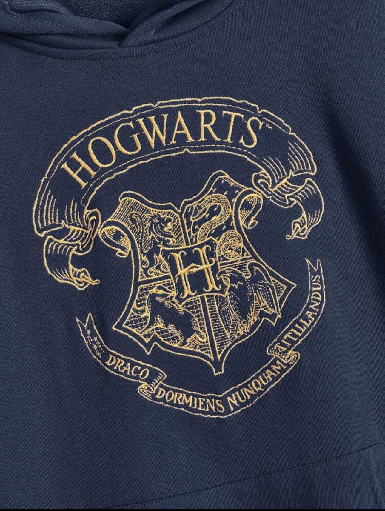Harry Potter Women Embroidered Graphic Loose Fit Hooded Sweatshirt