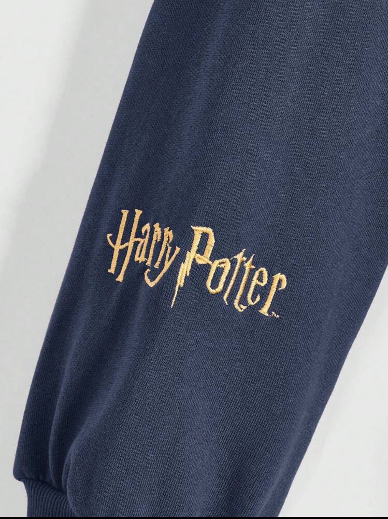 Harry Potter Women Embroidered Graphic Loose Fit Hooded Sweatshirt
