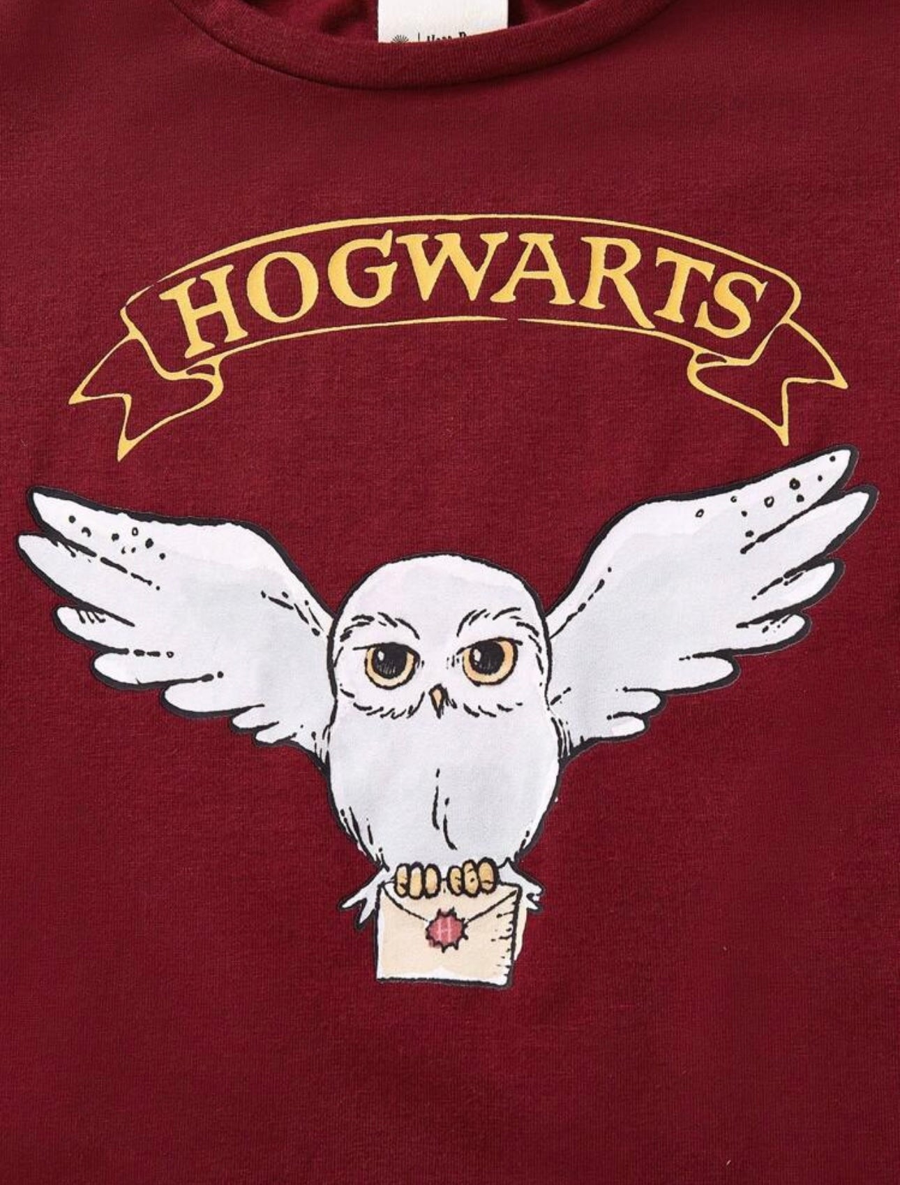 HARRY POTTER X Young Girl 2pcs/Set Cartoon Cat Owl Lion Badge Print Cute White Long Sleeve T-Shirt And Burgundy Casual Versatile Long Sleeve T-Shirt,