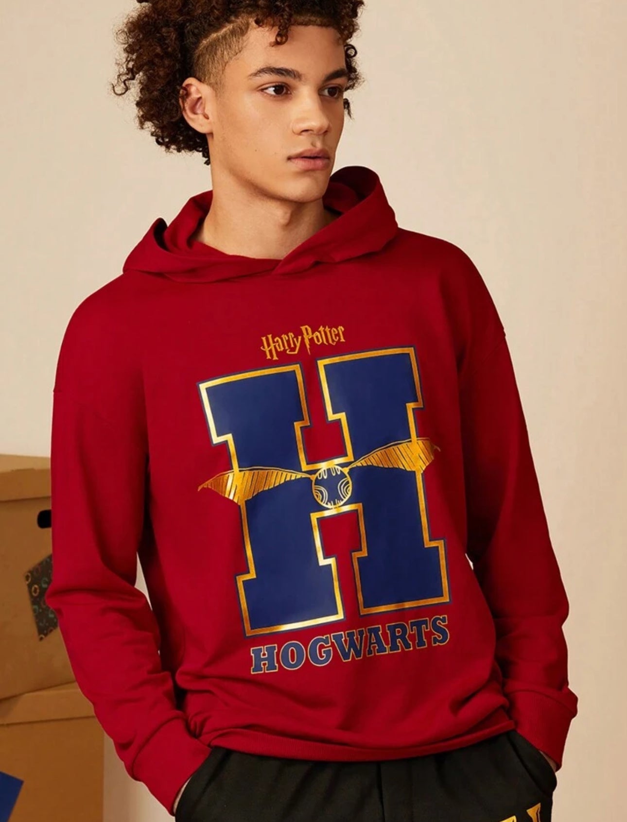 HARRY POTTER Men's Hogwarts Burgundy Print Casual Hooded Sweatshirt