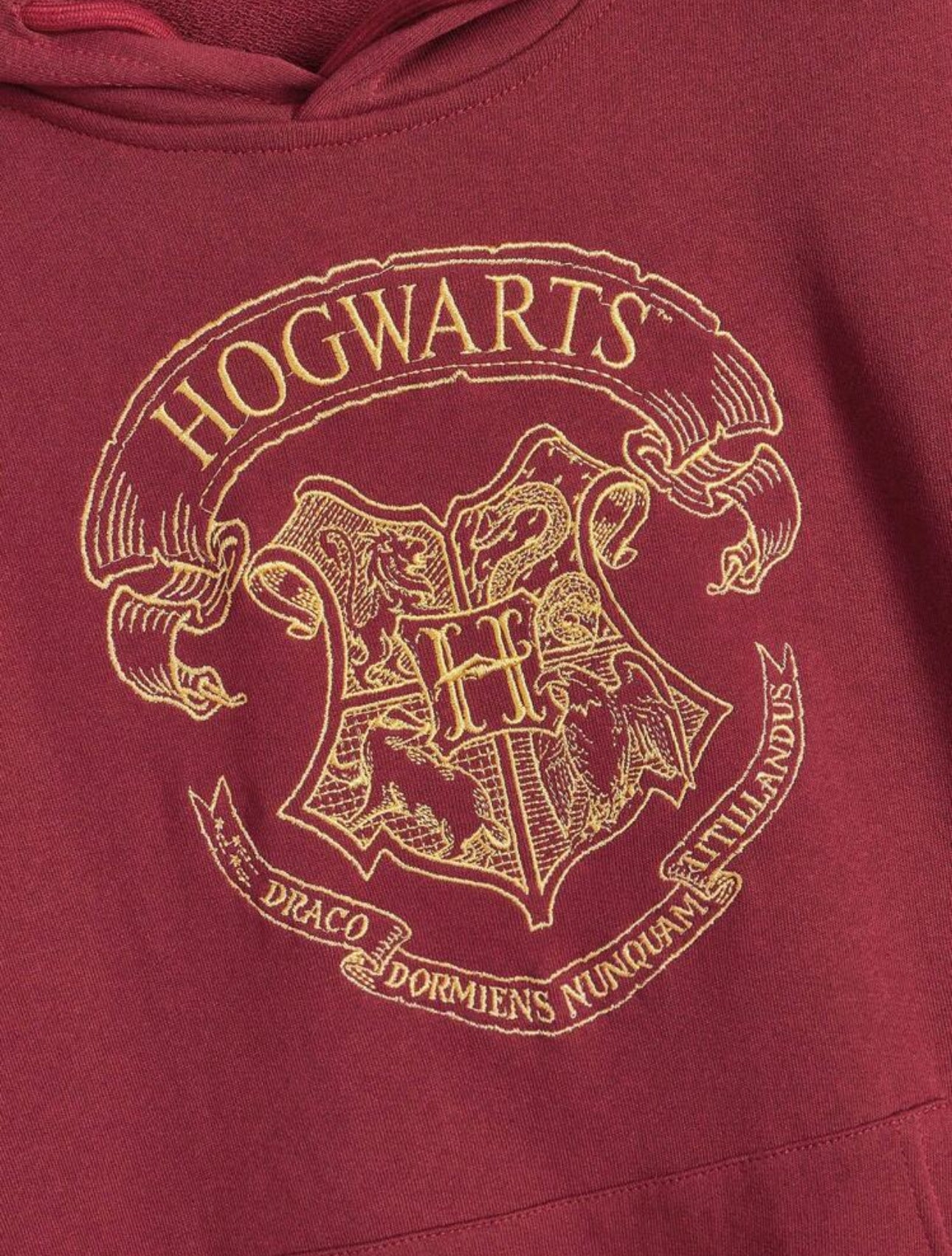 Harry Potter Women Embroidered Graphic Loose Fit Hooded Sweatshirt