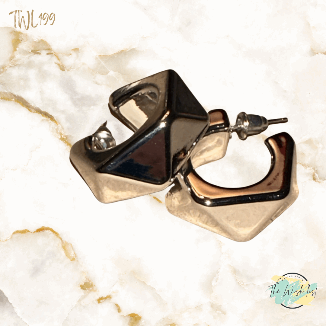 Unique shaped geometric earrings - Black Silver Gold