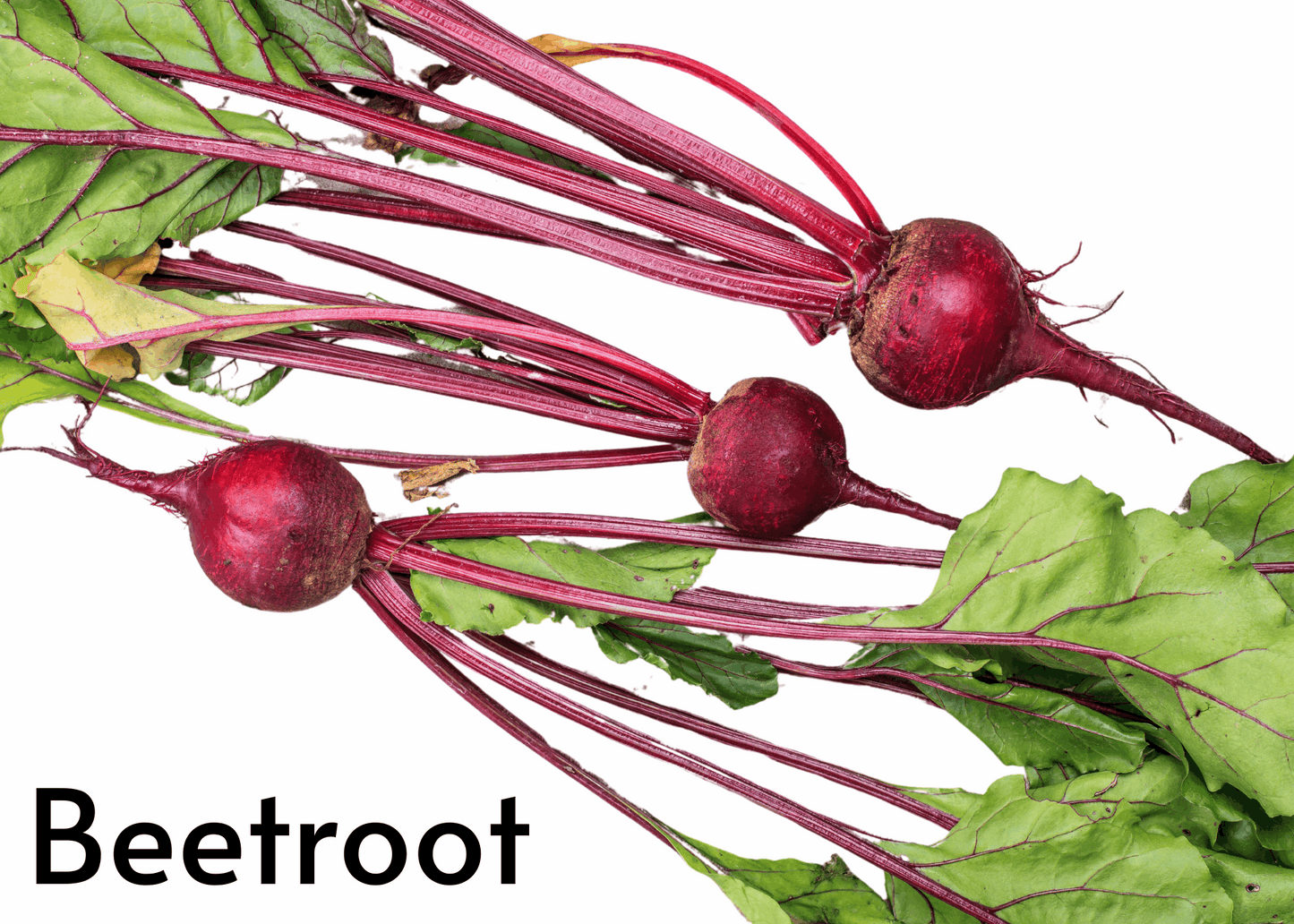 Vegetable flashcards for kids in English and Afrikaans