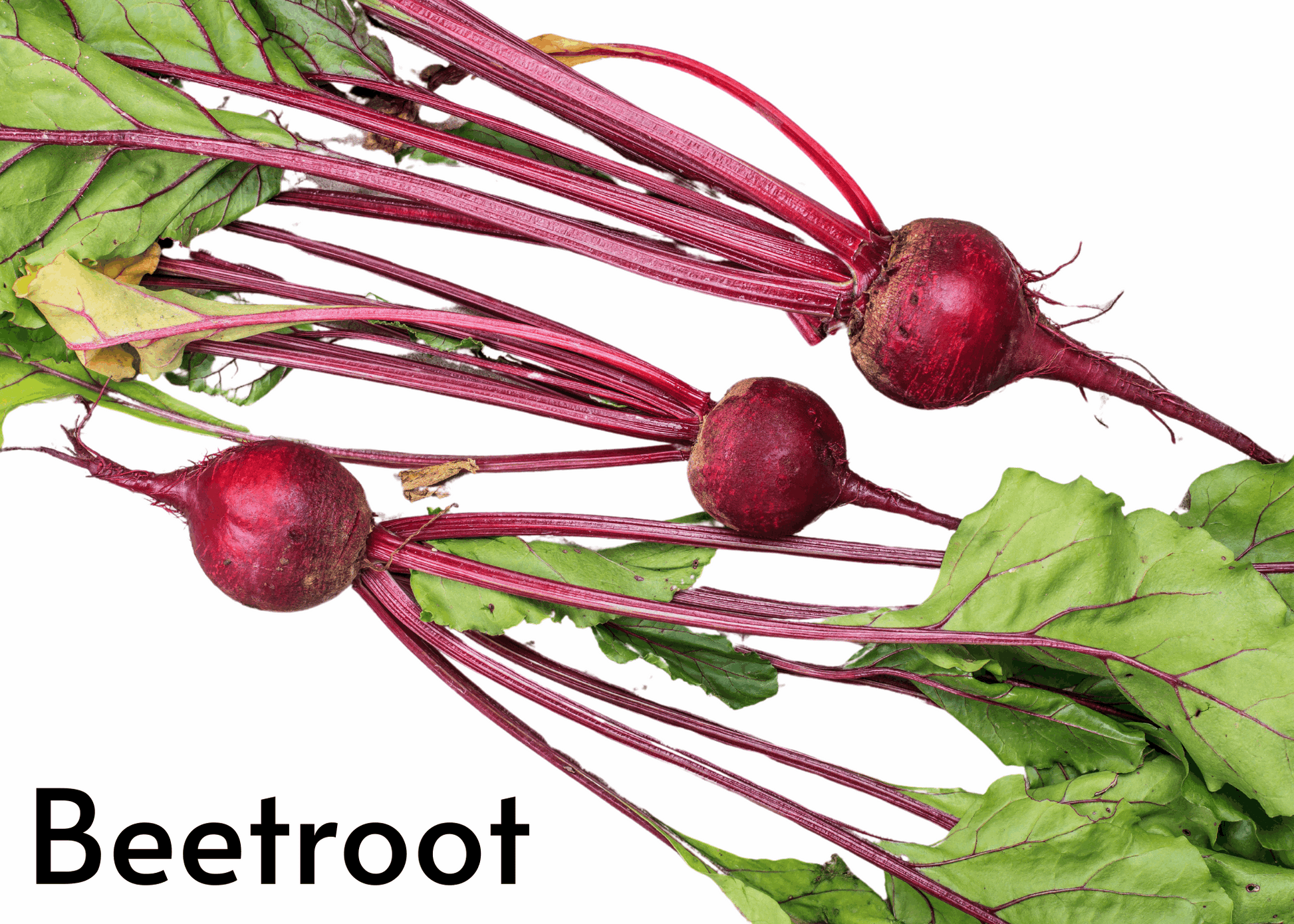 Vegetable flashcards for kids in English and Afrikaans