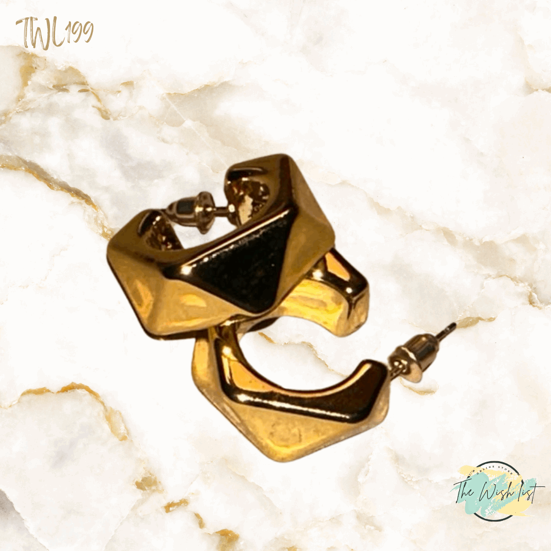 Unique shaped geometric earrings - Black Silver Gold