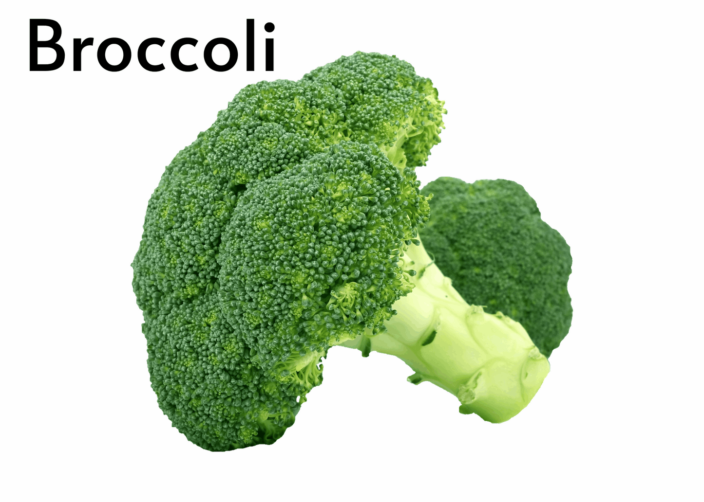 Vegetable flashcards for kids in English and Afrikaans