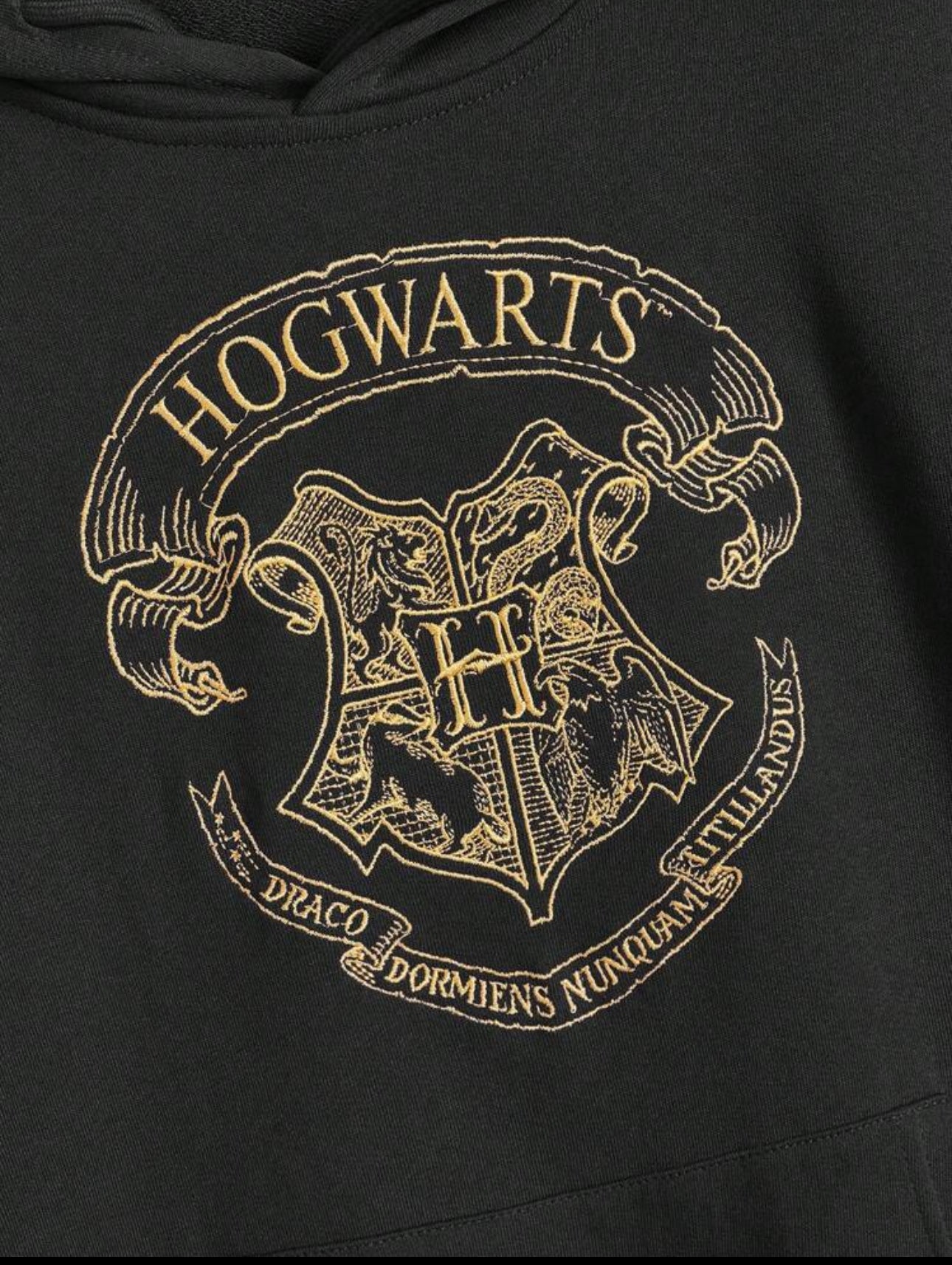 Harry Potter Women Embroidered Graphic Loose Fit Hooded Sweatshirt